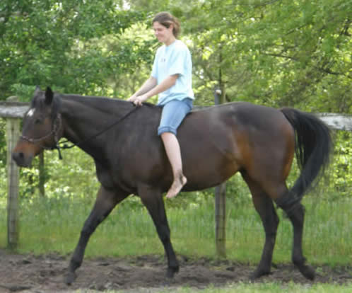 Cassie, Breeding Stock Paint and Jessica