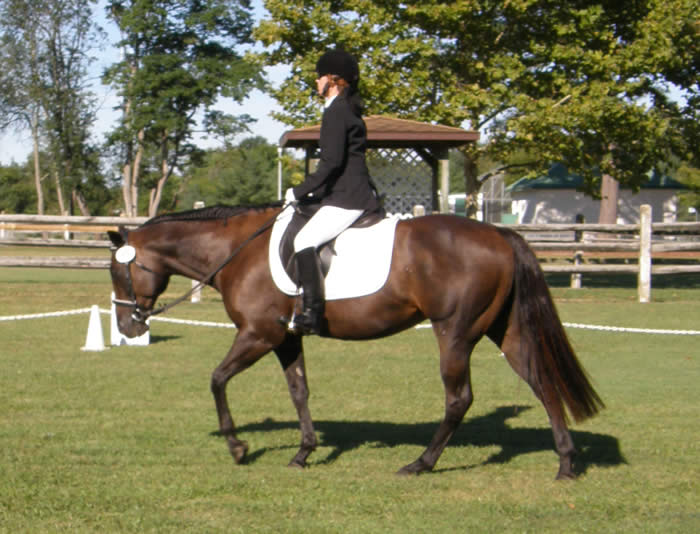 WEC show September 11, 2010 Intro Test A