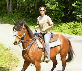 Destiny horse I was training May 2009