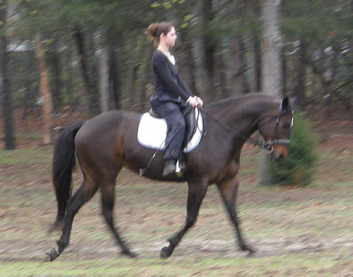 Lesson April 2011. Lots of practice and we have come so far!