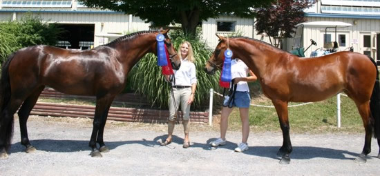 Harwich Dido and Jessica Parker, showing off our ribbons!!