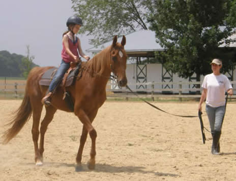 Jessica Parker, Ade and her horse Star