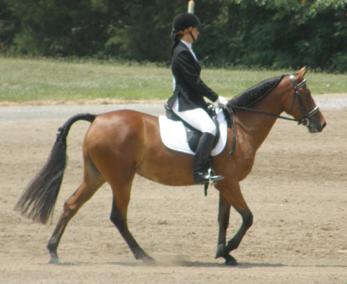 Harwich Dido and Jessica Parker warming up for Mid A 2010