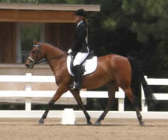 Harwich Dido and Jessica Parker riding test B at Mid A 2010
